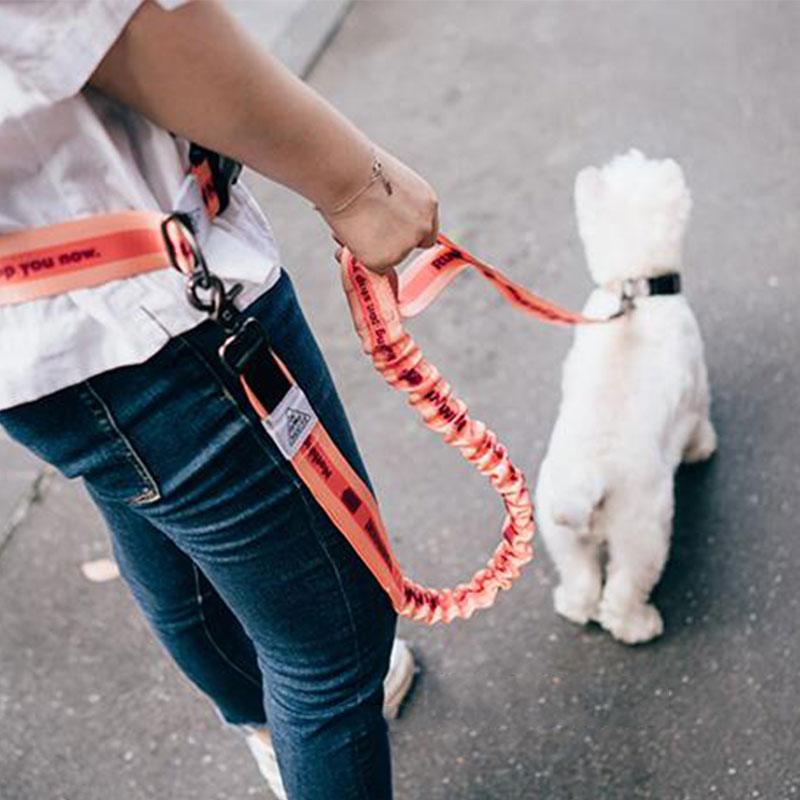 Running Gear Dog - ปรับมือฟรีสายจูงสุนัขสําหรับสุนัขสัตว์เลี้ยงเดินวิ่งจ๊อกกิ้งสายจูงสุนัขเข็มขัดเอวสายรัดหน้าอกเชือกดึงปลอกคอสัตว์เลี้ยง