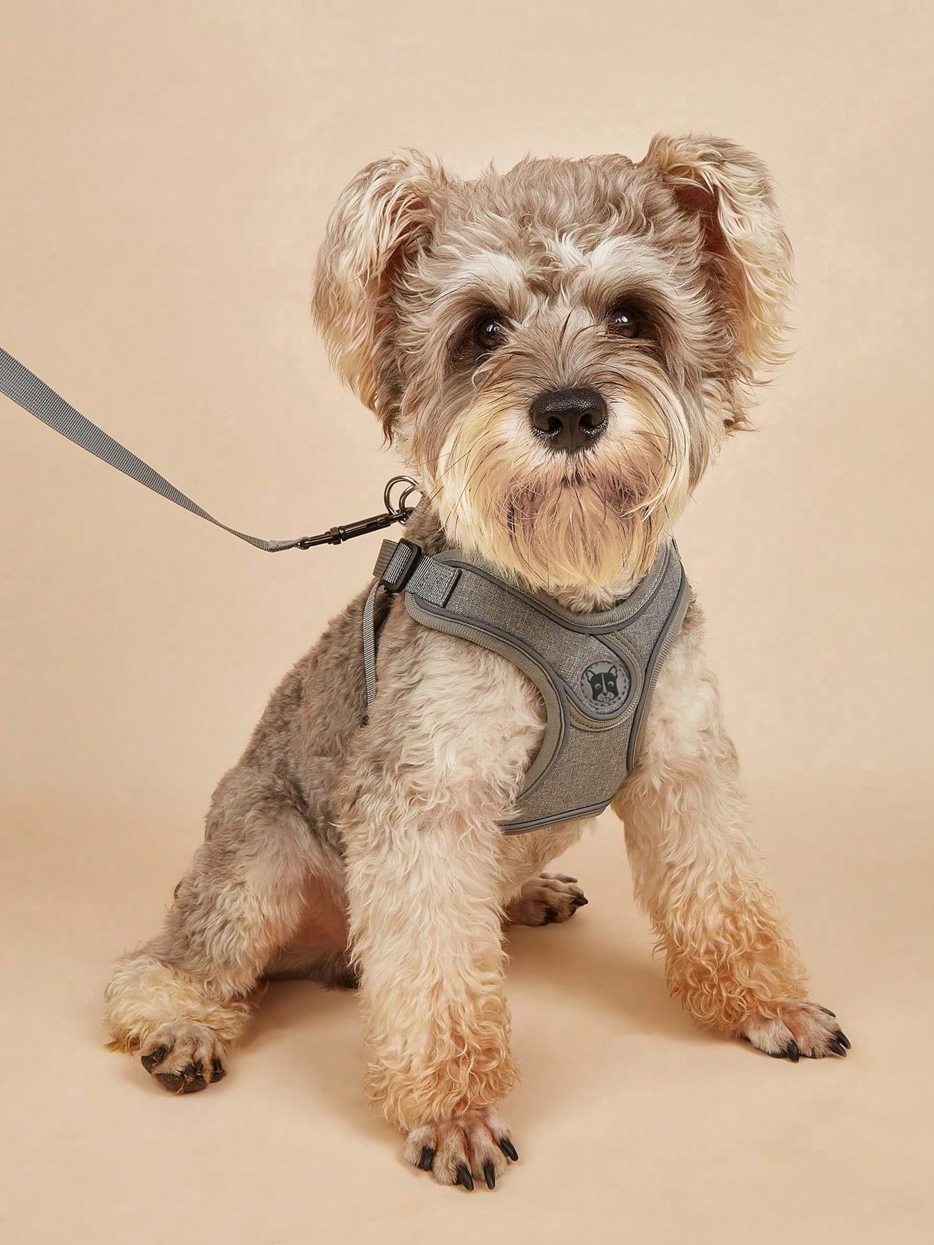 Running Gear Dog - สายรัดอกสุนัขสำหรับสุนัขขนาดเล็กและขนาดกลาง ไม่รัดคอ ชุดสายรัดอกและสายจูงสำหรับลูกสุนัข สายรัดอกแบบสวมสำหรับเดิน วิ่ง และฝึกสุนัข