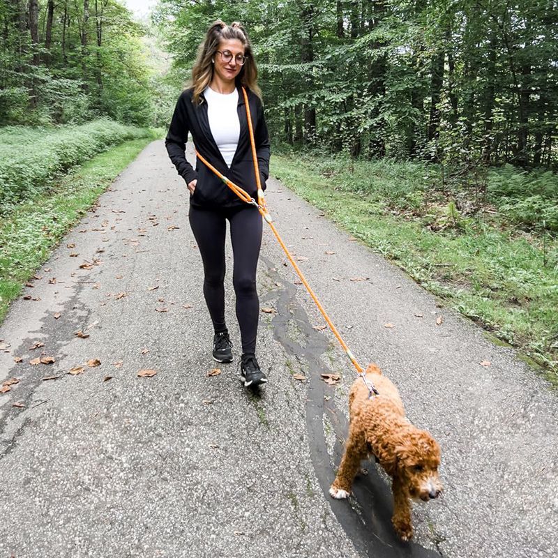 Running Gear Dog - สายจูงสุนัขแบบสะท้อนแสงสำหรับการเดินป่า เดิน และวิ่ง - สายจูงแบบปรับได้ที่เอวและแบบสะพายข้างสำหรับสุนัขขนาดเล็กและขนาดใหญ่ -