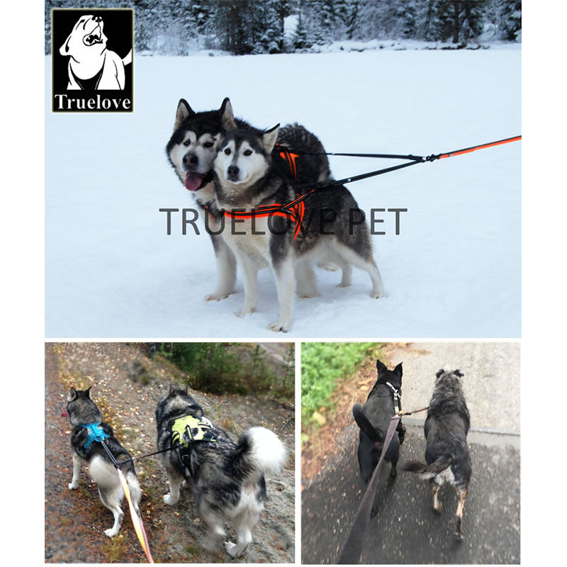 สายจูงสุนัขคู่ไนลอน Truelove ส - Running Gear Dog บทวิจารณ์และราคา