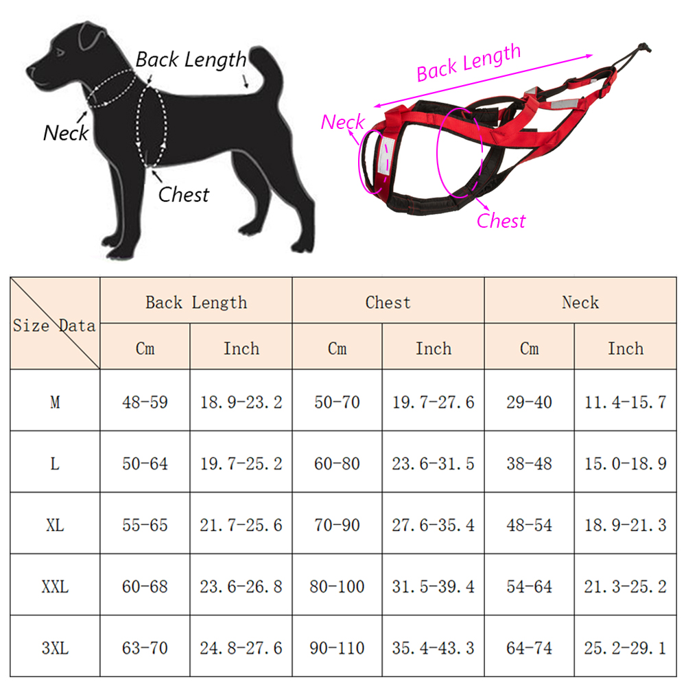 สายรัดสุนัขคุณภาพสูงสำหรับสุนั - Running Gear Dog บทวิจารณ์และราคา