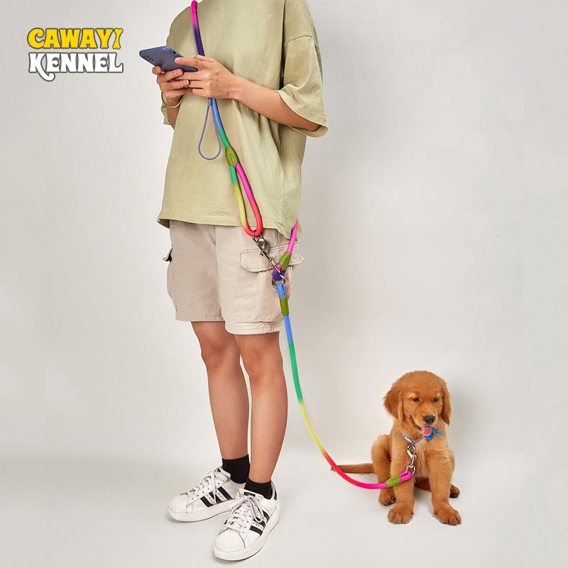 CAWAYI สุนัขไนลอนสายจูงสัตว์เล - Running Gear Dog บทวิจารณ์และราคา