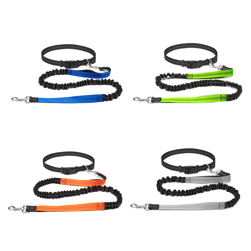 สายจูงสุนัขแบบแฮนด์ฟรีสำหรับพา - Running Gear Dog บทวิจารณ์และราคา