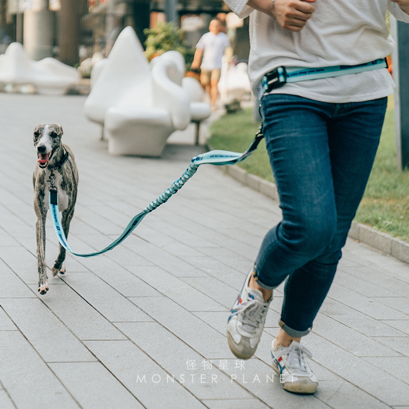 ปรับมือฟรีสายจูงสุนัขสําหรับสุ - Running Gear Dog บทวิจารณ์และราคา