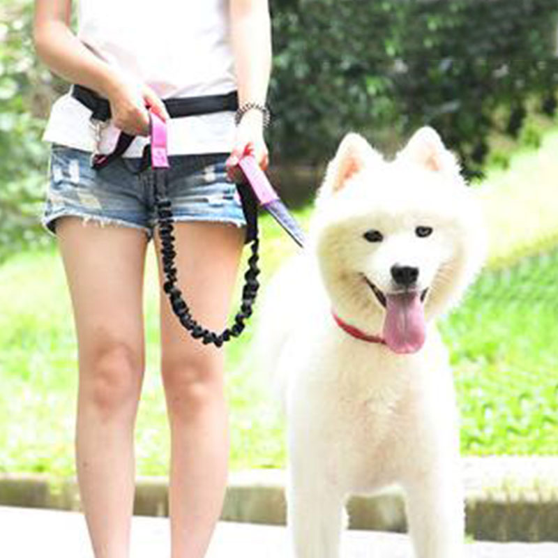 ปรับมือฟรีสายจูงสุนัขสําหรับสุ - Running Gear Dog บทวิจารณ์และราคา