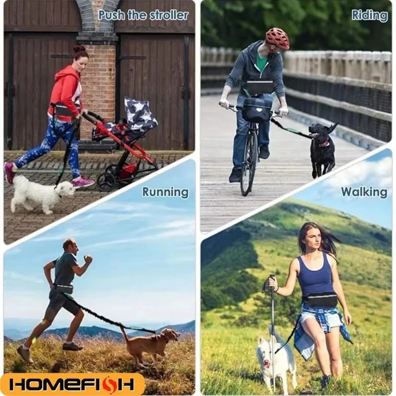 สายจูงสุนัขแบบสะท้อนแสงแบบแฮนด - Running Gear Dog บทวิจารณ์และราคา