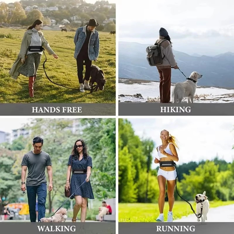 สายจูงสุนัขแบบสะท้อนแสงแบบแฮนด - Running Gear Dog บทวิจารณ์และราคา
