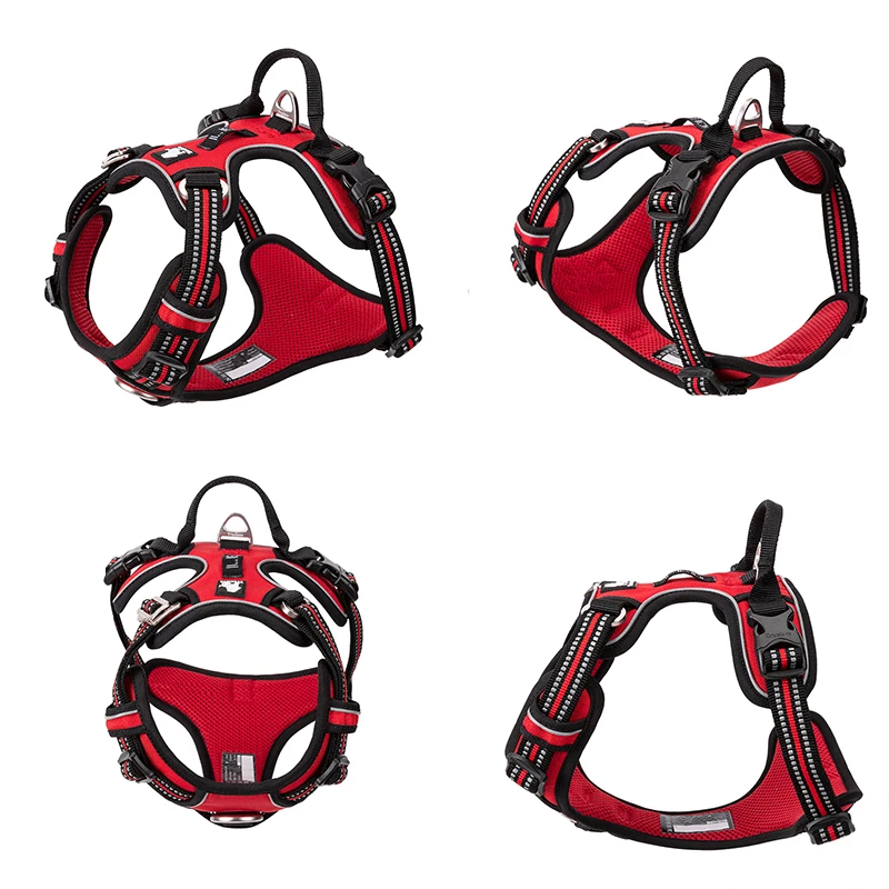 Truelove สัตว์เลี้ยงสะท้อนแสงส - Running Gear Dog บทวิจารณ์และราคา
