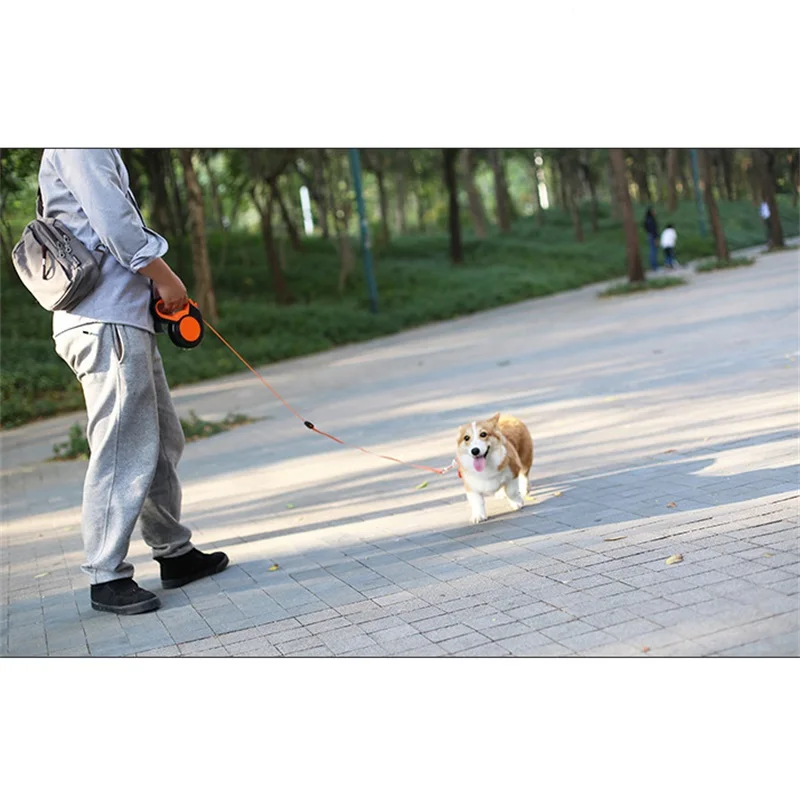 3M/5M/8MRetractable สายจูงสุนั - Running Gear Dog บทวิจารณ์และราคา